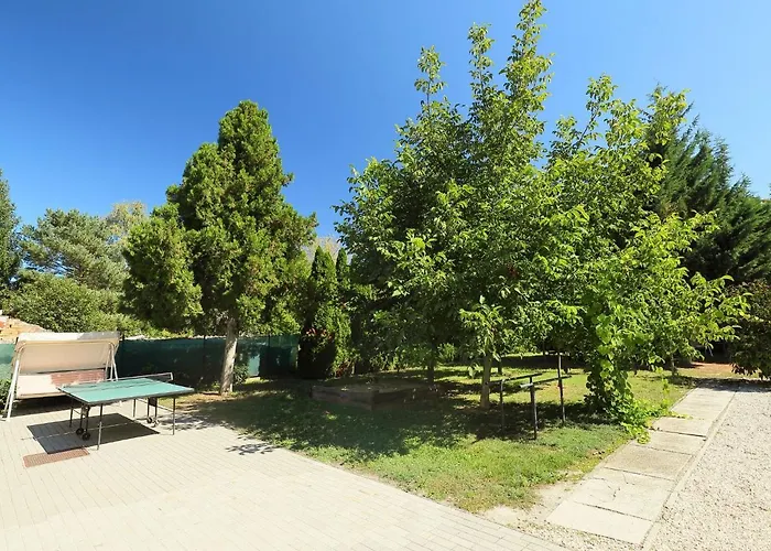 Appartement Moni 1 By Interhome *