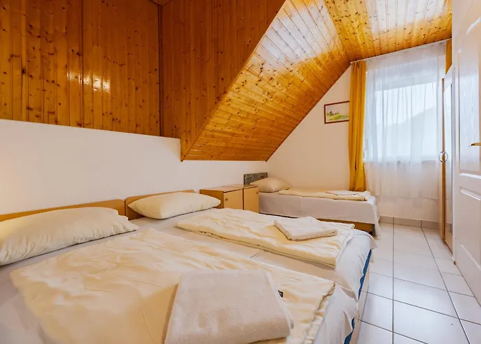 Appartement Moni 1 By Interhome