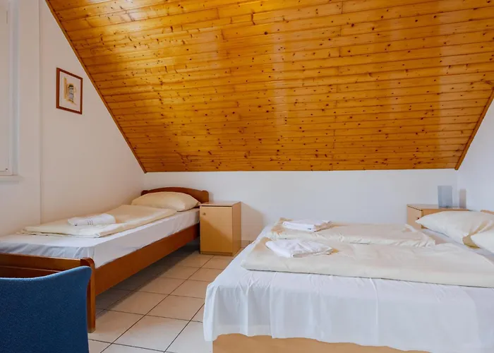 Moni 1 By Interhome Balatonszárszó