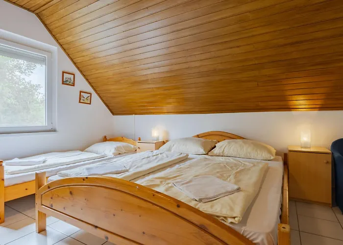 Moni 1 By Interhome * Balatonszárszó